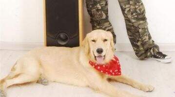 Aina of Mu Rui Kennel
