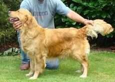 Offspring Jade van 't Olde Klooster