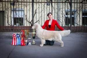European International Champion Zvezda Al'biona iz Sokolinogo Gnezda European International Champion Zvezda Al'biona iz Sokolinogo Gnezda