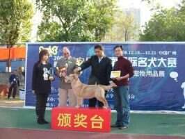 Eine of Everpop Kennel