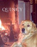 Dd's Quincy Orange Mcneely Odabashian