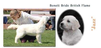 Bonett Bride British Flame