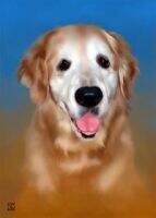 Southwind Kibri's Casey