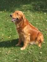 Toby's Princess Sonya