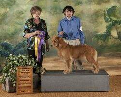 UKC CH Sunfire's The Immortal Gene CCA
