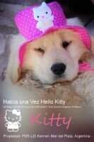 Habia una Vez Hello Kitty