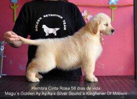 Habia una Vez Happy Day