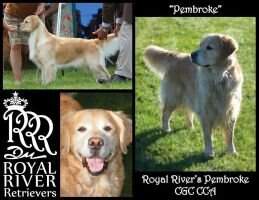 Royal River's Pembroke CCA