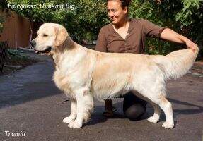 UA UA CH BIR CH MOL CH TUR Fairquest Thinking Big UA UA CH BIR CH MOL CH TUR Fairquest Thinking Big
