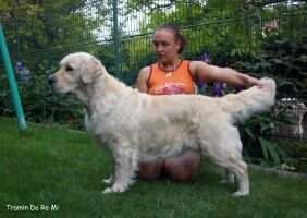 Tramin Do Mi Tramin Do Mi