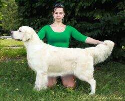 RUS MOL CY BLR MOL Salsa Zolotoe Oblako