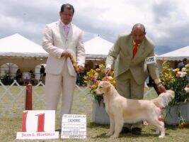 ChCo.JCo. AG GOLDEN AGE LA NEGRA SOSA