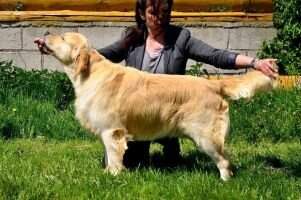 Amazing Deep Devotion Sent from Heaven National Winner