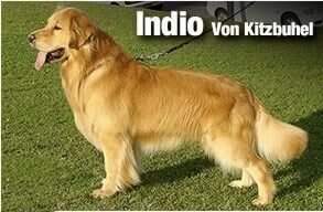 Bac Indio Von kitzbuhel