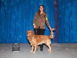 UKC CH GJJCH USJ UCI Int/Nat/Hnrs CH Benelli's Legacy JD-G