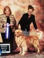 UKC CH Glacier Seasons Golden Haven