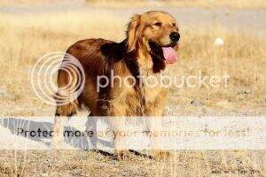 Fun Twist (Miramontes) Fun Twist (Miramontes)