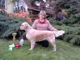 PL Honey EVIDOG