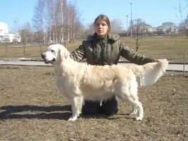 Dual Ch, Ch Rus, Ch RKF Tsuvasa Kreqgihill Reya Kibela field trailer 4 CACT