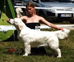 Int.Ch.HRCh.RoCh.SKCh.HCh.HSCh.HJCh.Lux.JCh. Burning Hot of The Famous Family