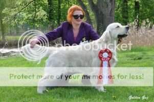 Interchampion C.I.E.,Ch.PL, CH.DE Diablo Grande Anarchia Box FCI
