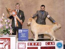 BOSS Int'l /PanAm/ Mex CH Nautilus The Snow Queen Bella BOSS Int'l /PanAm/ Mex CH Nautilus The Snow Queen Bella