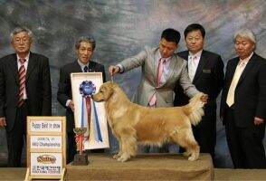Kor CH The 1st's Golden Queen