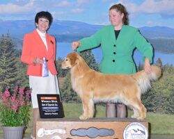 Cu Curran's Holly Goghlightly To Benchmark CCA