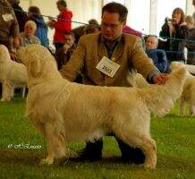 Commander in Chief van Flolain Belgian Juniorwinner 2008
