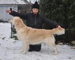 JChRus Solntse Baltii Bonita Renessans JChRus Solntse Baltii Bonita Renessans