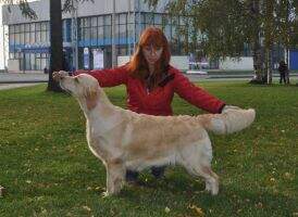 Rus. YCh Rus YCh NKP, Ch NKP Sandy Oliv Tiffany Rus. YCh Rus YCh NKP, Ch NKP Sandy Oliv Tiffany