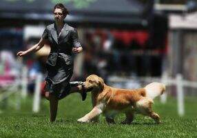 Shyan's Let Freedom Ring
