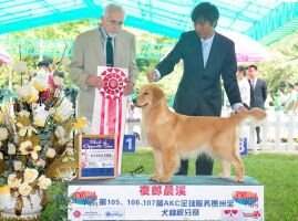 PRC-CH Everbody loves me of hotdog kennel