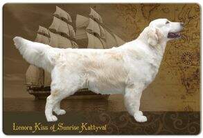 FT Duck Bye Lenora Kiss of Sunrise Kattyval
