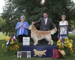 UUD Richwood Sophie's Magic Moment UDX3 OM4 MH23
