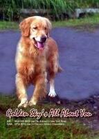 Golden Sky's All About You Golden Sky's All About You