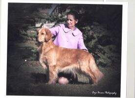 Snyder's Sheez ClickN Her Ruby Reds