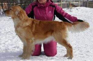 Lorevy Beatrice