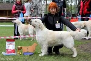 Rus, Ch RKF, JChRus Juliette Evidog Rus, Ch RKF, JChRus Juliette Evidog