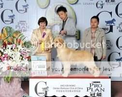 wushuang newstar