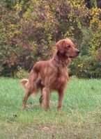 Windy Ridge Crackerjack
