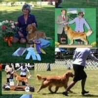 BVIS BOSS CH Mariah's Ain't She The Girl O'My Dreams MBVOSS
