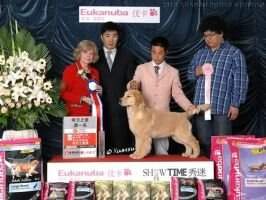 Ico of Superstar Kennel