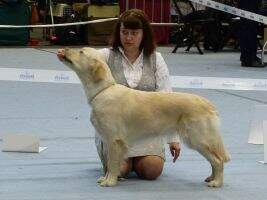 RUS RUS CH LT CH LV CH BY CH Roberta Rainbow