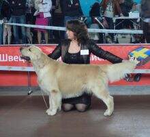 BLR BREED CH D-1(DUCK) Kanrit Daly Ruffino