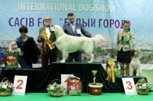 JGrChUa Rus Mol Geo Mak NRC Imperial iz Stolitsy Urala Geo Mak NRC Ua JGrChUa Rus Mol Geo Mak NRC Imperial iz Stolitsy Urala Geo Mak NRC Ua