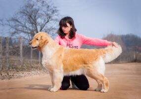 BLR, CH BREED Bonita Zhasmin