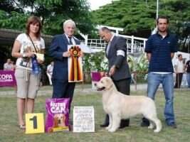 ColGrCh ChCol LatCh PanCh ColJrCh Valle de Atriz Pistacho ColGrCh ChCol LatCh PanCh ColJrCh Valle de Atriz Pistacho