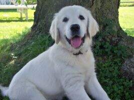 Jeanette Jay From MarianneHouse