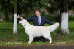 Ch.Rus,Lt,Blr,Pl,Lv,3*RKF Riera Domino JCh.Rus,Blr,Lt,Ukr